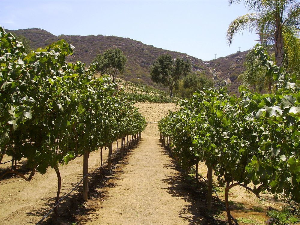 Hotel Vineyard Hacienda Spring Valley  Exterior foto